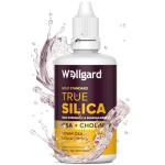 Wellgard True Silica – Vegan Liquid Supplement 60ml