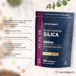 High Strength Silica Supplement 500mg - 120 Capsules