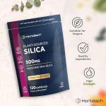 High Strength Silica Supplement 500mg - 120 Capsules