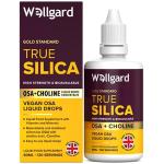 Wellgard True Silica – Vegan Liquid Supplement 60ml