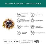 Organic Seaweed Iodine Supplement – Vegan Friendly 30 Vegecaps