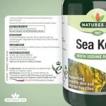 Nature's Aid Sea Kelp 187mg - Vegan Iodine Support