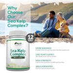 Sea Kelp Iodine 365 Vegan Tablets – 435mcg