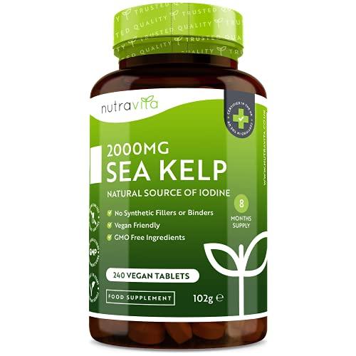 Kelp