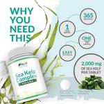Sea Kelp Iodine 365 Vegan Tablets – 435mcg