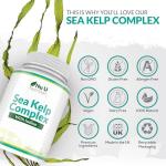 Sea Kelp Iodine 365 Vegan Tablets – 435mcg