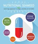 Organic Scottish Sea Kelp Iodine - 120 Capsules