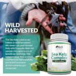 Sea Kelp Iodine 365 Vegan Tablets – 435mcg