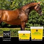 NAF Vitamin E & Selenium 1kg for Horses