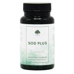 SOD Plus Antioxidant Capsules with Zinc and NAC