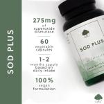 SOD Plus Antioxidant Capsules with Zinc and NAC