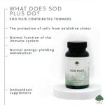 SOD Plus Antioxidant Capsules with Zinc and NAC