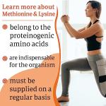 Now Foods Acetyl-L-Carnitine 500mg Vegan Capsules