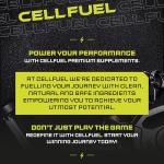 Vegan BCAA Tablets | 2000mg | 90 Counts