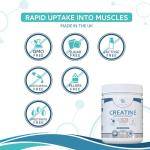 Micronized Creatine Monohydrate Powder 500g