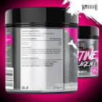 Warrior Creatine and Collagen Powder 270g