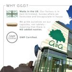 L-Arginine 500mg Vegan Capsules - 60 Count