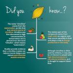 Vegavero L Citrulline Malate 10,000 mg Powder