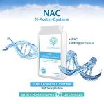 N-Acetyl Cysteine 600 mg Vegan Capsules 120 Count