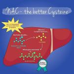 Vegavero NAC Supplement 600 mg - 180 Vegan Capsules