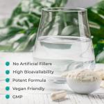 NAC Supplement 600mg - Vegan N-Acetyl-Cysteine Capsules