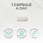 NAC Supplement 600mg - Vegan N-Acetyl-Cysteine Capsules