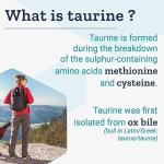 Life Extension Taurine 1000mg 90 Vegan Capsules