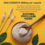 High-Strength Psyllium Husk & Probiotic Capsules