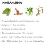 10g Fiber Prebiotic Powder for Gut Health