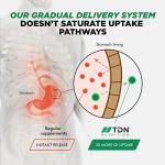 Turmeric, Vitamin C, Acai & Ginger Complex Capsules