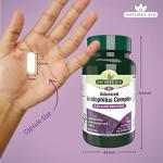 Nature’s Aid Acidophilus Probiotic 5 Billion CFU