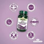 Nature’s Aid Acidophilus Probiotic 5 Billion CFU