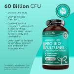 Nutravita 60 Billion CFU Probiotic Complex 60 Caps