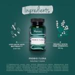 Organic Probiotics & Prebiotics | 20 Billion CFUs