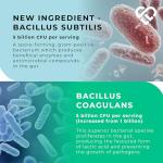 MultiSpore® Plus Probiotics for Gut Health