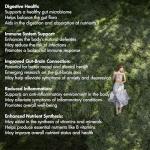 Bio Cultures Probiotics & Prebiotics - 435 Billion CFU