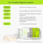 NHP Advanced Probiotic for Digestive Health - 60 Capsules