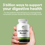 Lactobacillus Reuteri Probiotic Supplement - 240 Tablets