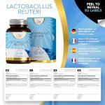 L Reuteri Probiotic Capsules | 90 Count