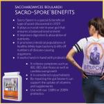 Sacro-Spore Yeast Supplement for Digestive Health