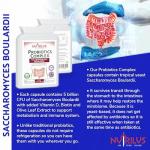 Nutrilus Probiotics Complex 90 Capsules for Gut Health