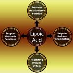 Alpha Lipoic Acid 600mg - Vegan Antioxidant Support