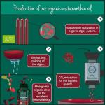 Organic Astaxanthin 8 mg - Vegan Antioxidant Support