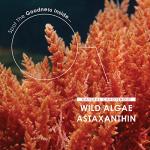 High Strength Wild-Algae Astaxanthin 160mg - 90 Softgels