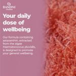 Bandini® Pure Astaxanthin 18 mg Vegan Capsules