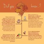 Vegavero Beta Carotene | 180 Vegan Capsules