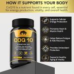 Bearactive CoQ10 200mg Vegan Softgels for Energy