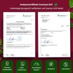 High Absorption CoQ10 300mg Vegan Softgels