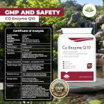Co Q10 Capsules 100mg - Heart Health Support