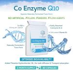 CoQ10 300mg Capsules - Naturally Fermented Formula